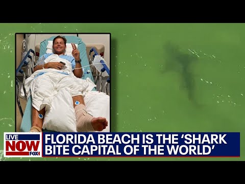 New Smyrna Beach, Florida: ‘Shark bite capital of the world’ | LiveNOW from FOX