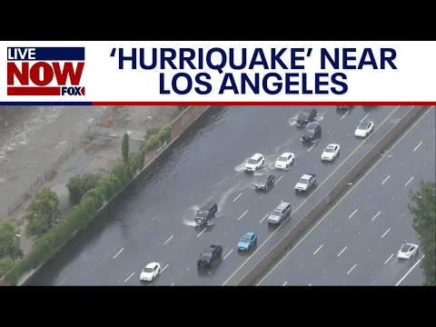 Hurriquake: Earthquake near LA as Hurricane Hilary approaches | LiveNOW from FOX