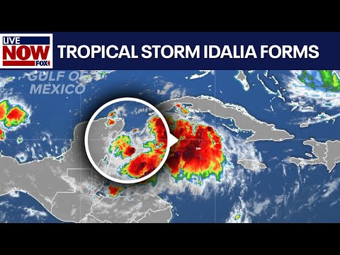 Tropical Storm Idalia forms, heads for Florida & Carolinas | LiveNOW from FOX
