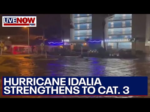 Hurricane Idalia strengthens to ‘major’ category 3 storm with winds of 120+ mph | LiveNOW from FOX