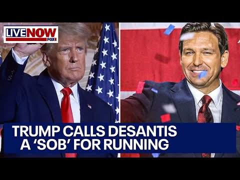 ‘SOB” Trump calls out DeSantis for running for President | LiveNOW from FOX