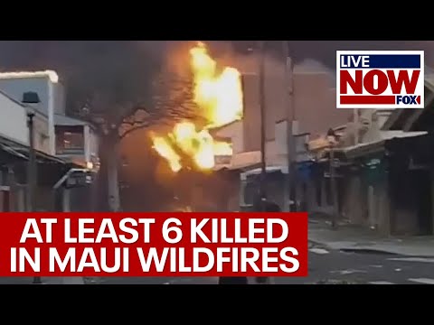 Hawaii wildfires: at least 6 dead in Maui, mayor says | LiveNOW from FOX