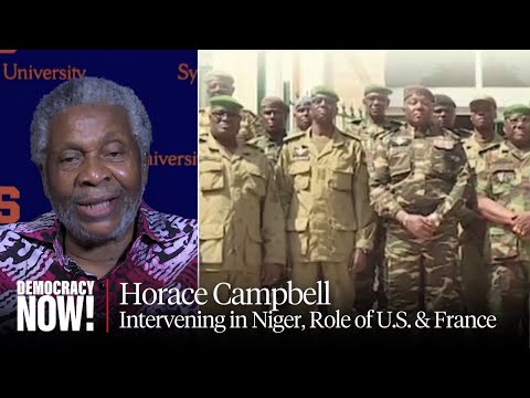 Horace Campbell on Opposing Military Intervention in Niger & Disastrous U.S./French Role in Africa