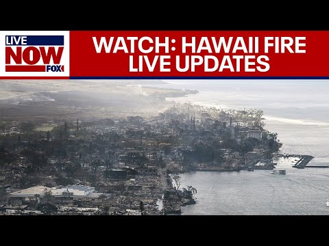 Maui fires: Live updates on Hawaii wildfires as death toll rises | LiveNOW from FOX