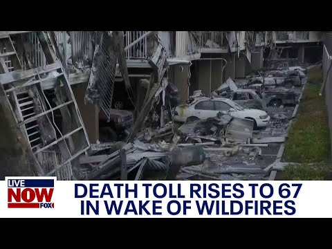 Maui fire: Death toll rises to 67 in wake of Hawaii wildfires | LiveNOW from FOX