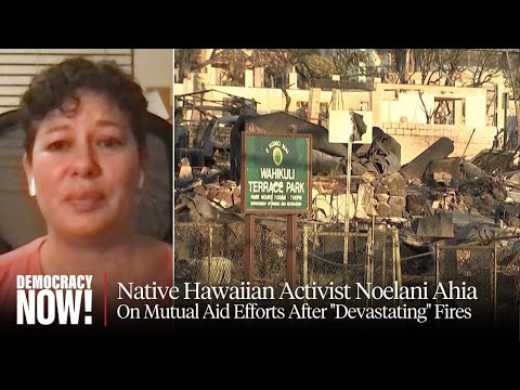 As Fires Destroy Native Hawaiian Archive in Maui, Mutual Aid Efforts Are Launched to Help Lahaina