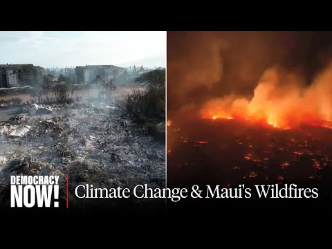 Fire Expert Says Climate & Native Vegetation Changes Fueled Explosive Maui Wildfires