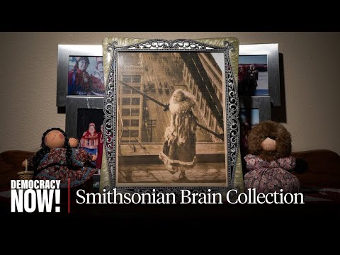 Inside the Smithsonian’s “Racial Brain Collection” & the Eugenics Project Behind It