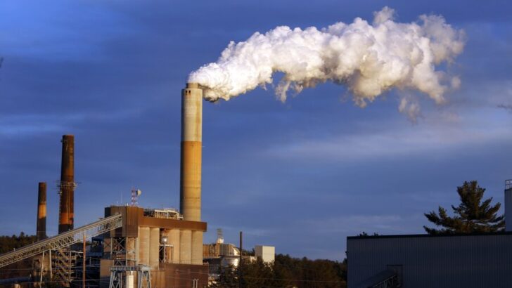 How should government spend carbon tax revenues?