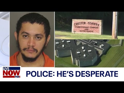 Pennsylvania escaped killer: Multiple sightings in search for prisoner | LiveNOW from FOX