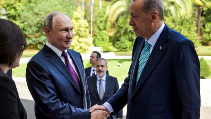 Putin dashes hopes of new Ukraine grain deal after talks with Erdoğan
