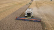 Ukraine warns of food crisis after four EU states ban grain imports