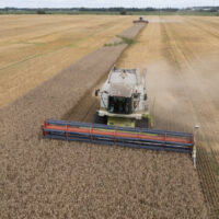 Ukraine warns of food crisis after four EU states ban grain imports