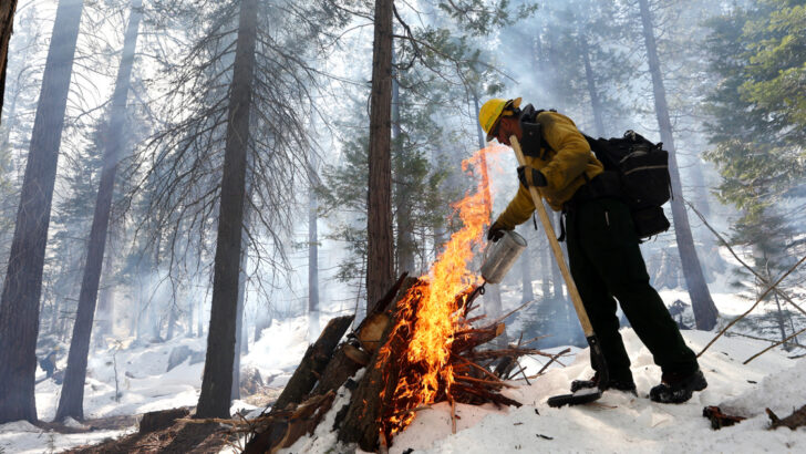 House passes bill to improve wildfire prevention accountability after NBC News report