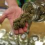 U.S. health agency advises easing federal marijuana restrictions