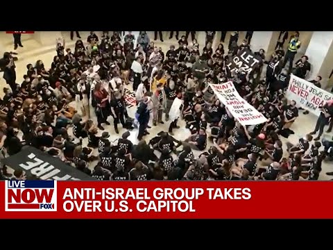 BREAKING: Protesters at Capitol demand Gaza ceasefire, spark fears of riot | LiveNOW from FOX