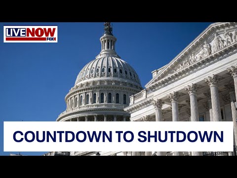 Breaking: House passes 45 day funding plan, up to senate to approve | LiveNOW from FOX