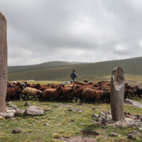 In Pictures: Why Yazidi herders still traverse Armenian mountains