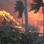 911 calls from Lahaina wildfire show residents’ terror and panic in a desperate bid to escape