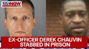 The ex-officer convicted of murdering George Floyd stabbed in prison | LiveNOW from FOX