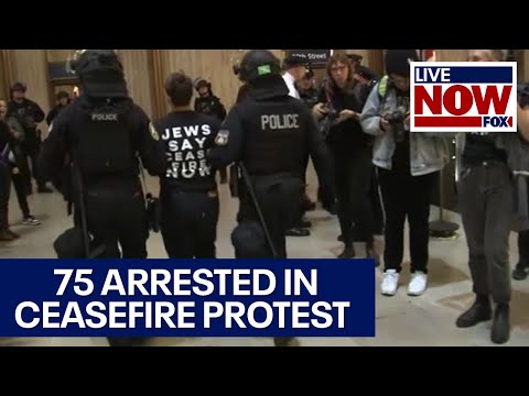 Israel-Hamas war protest: 75 arrested in Philly ceasefire protest | LiveNOW from FOX