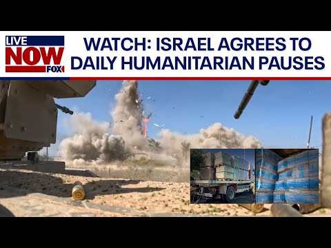 Israel agrees to humanitarian pauses, Manchin won’t seek re-election, and more | LiveNOW from FOX