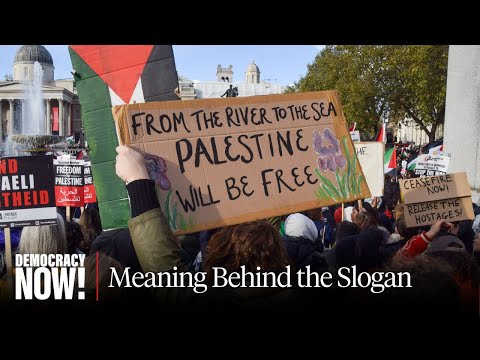 “From the River to the Sea”: Omer Bartov on Contested Slogan & Why Two-State Solution Is Not Viable