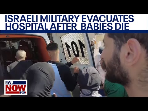 Israeli troops evacuate babies from Gaza hospital after newborns die, IDF says | LiveNOW from FOX